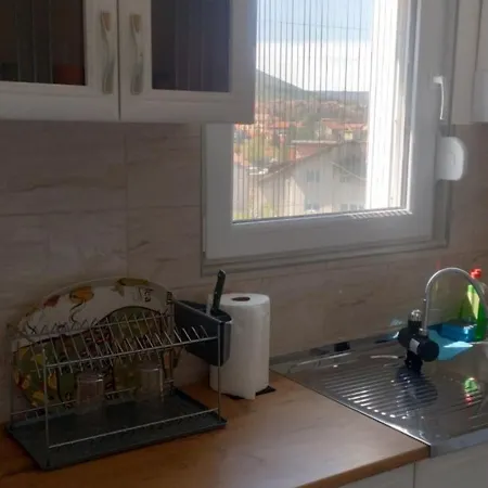 Ivana Daire Soko Banja