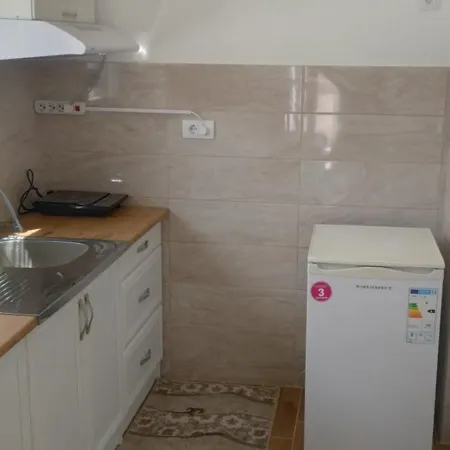 Ivana Daire Soko Banja