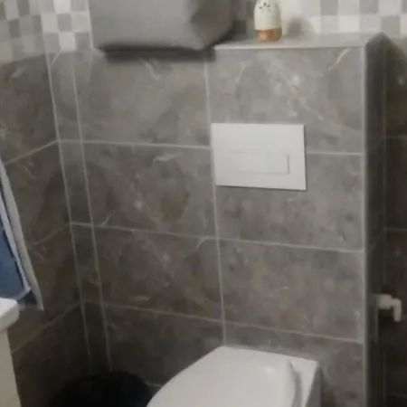 Ivana Apartment Soko Banja